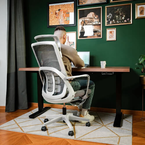 Ergonomická kancelářská židle Liftor Orca, šedá