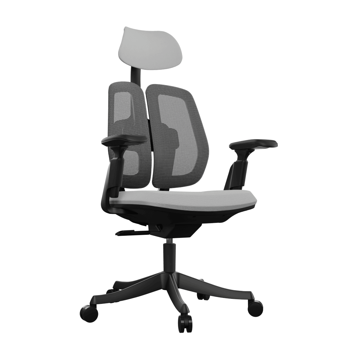 foto17.png